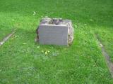 image of grave number 287728